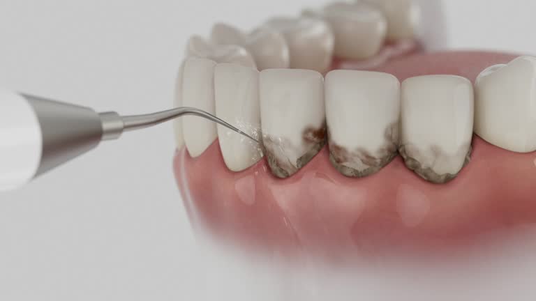 Reliable Dental contractor in South Rockwood, MI by Dentist Open Now